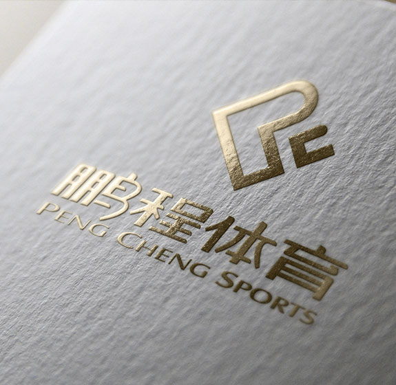 泰州鵬程體育器材VI設(shè)計 鵬程體育器材VI設(shè)計